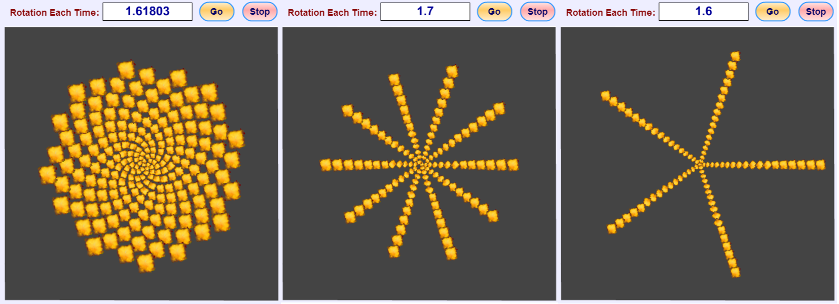 What do plants, the human heart, and special relativity have in common?
