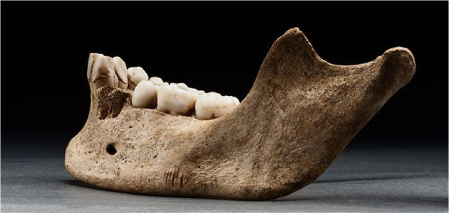 Spooky Skeletons: Evidence for Cannibalism