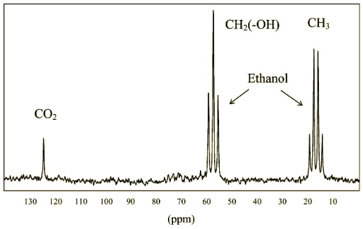 Champagne Problems: The Challenge of Effervescence