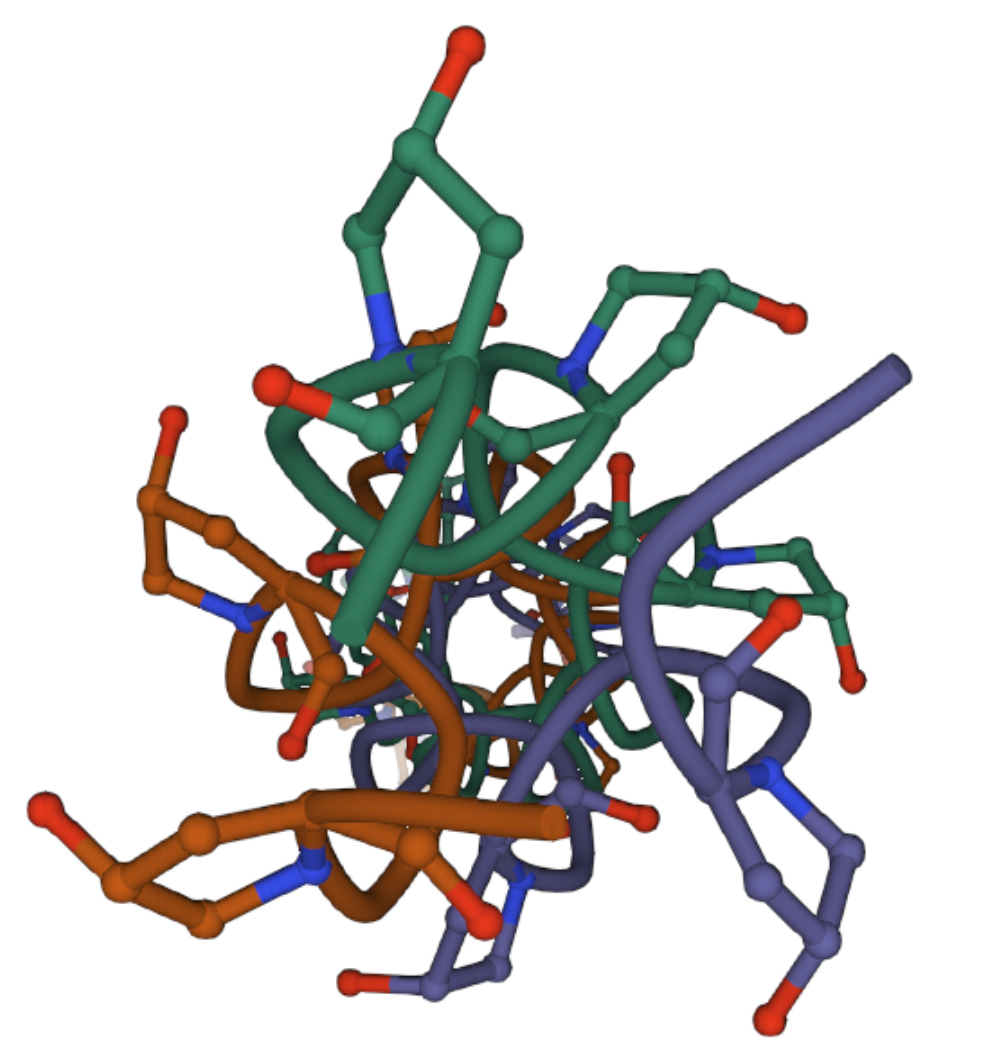Animal vs. Plant Proteins: Which Is Better For Bones?