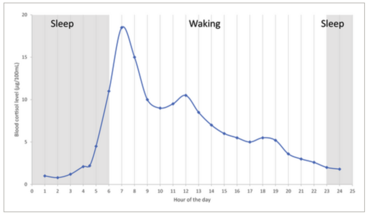Phones are great! But are they really?