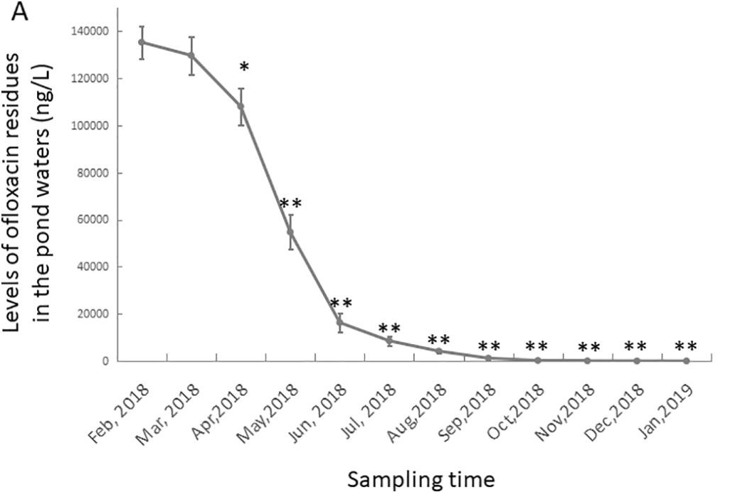 Next Time You Have an Infection, Think of the Earth