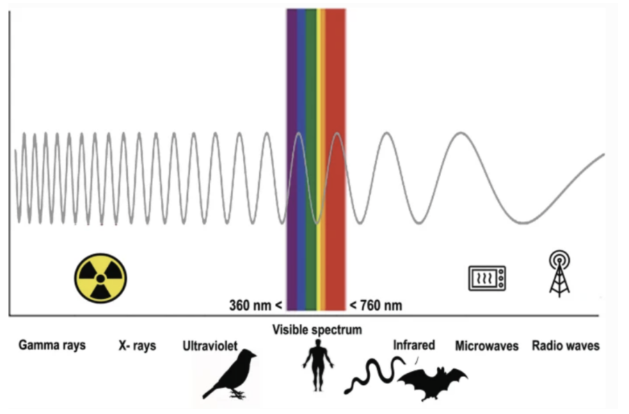 What’s cooking your food?