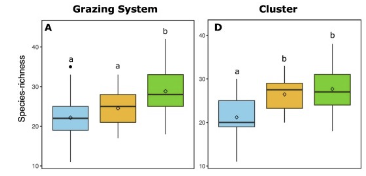 Holistic Hoof: Examining the Ecological Importance of Wild Horses