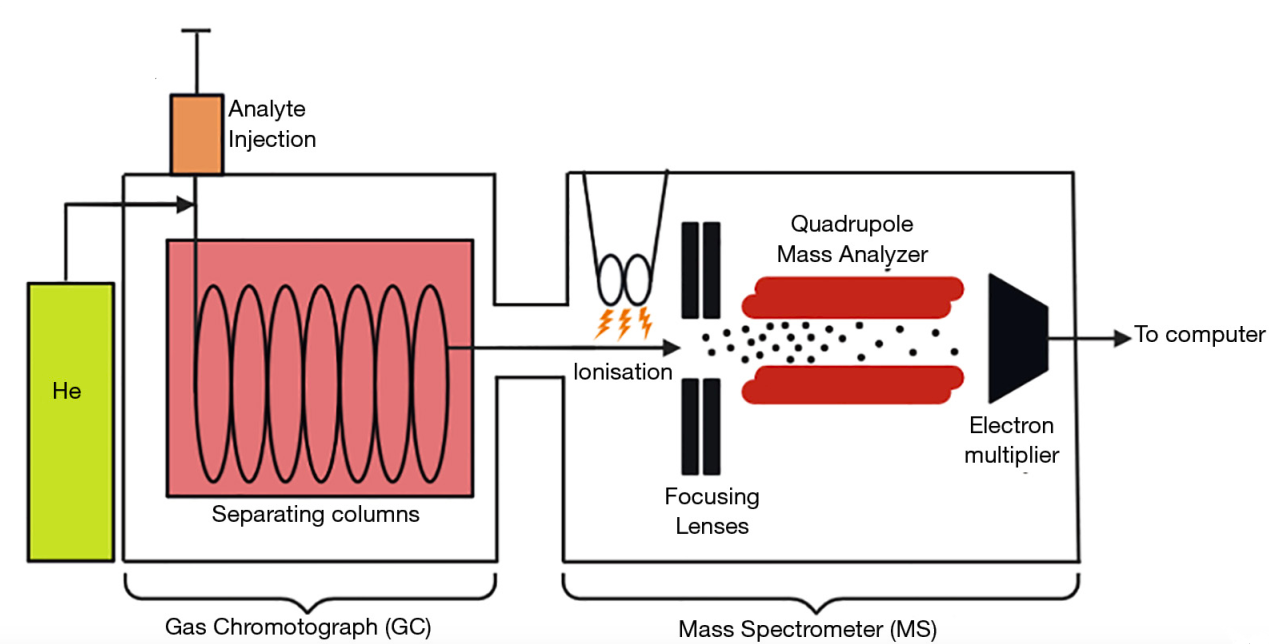Sediments and Substances: GC-MS Analysis in Geochemistry - syn·op·sis